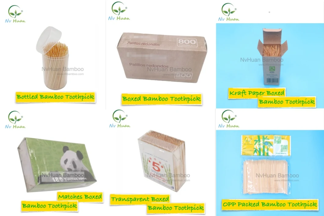 Individual Plastic Wrap Bamboo Toothpick